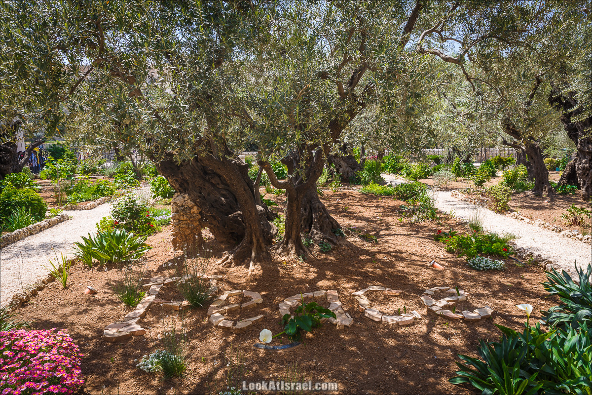 Крошки Иерусалима - случайные фотографии из жизни столицы Израиля | LookAtIsrael.com - Фото путешествия по Израилю