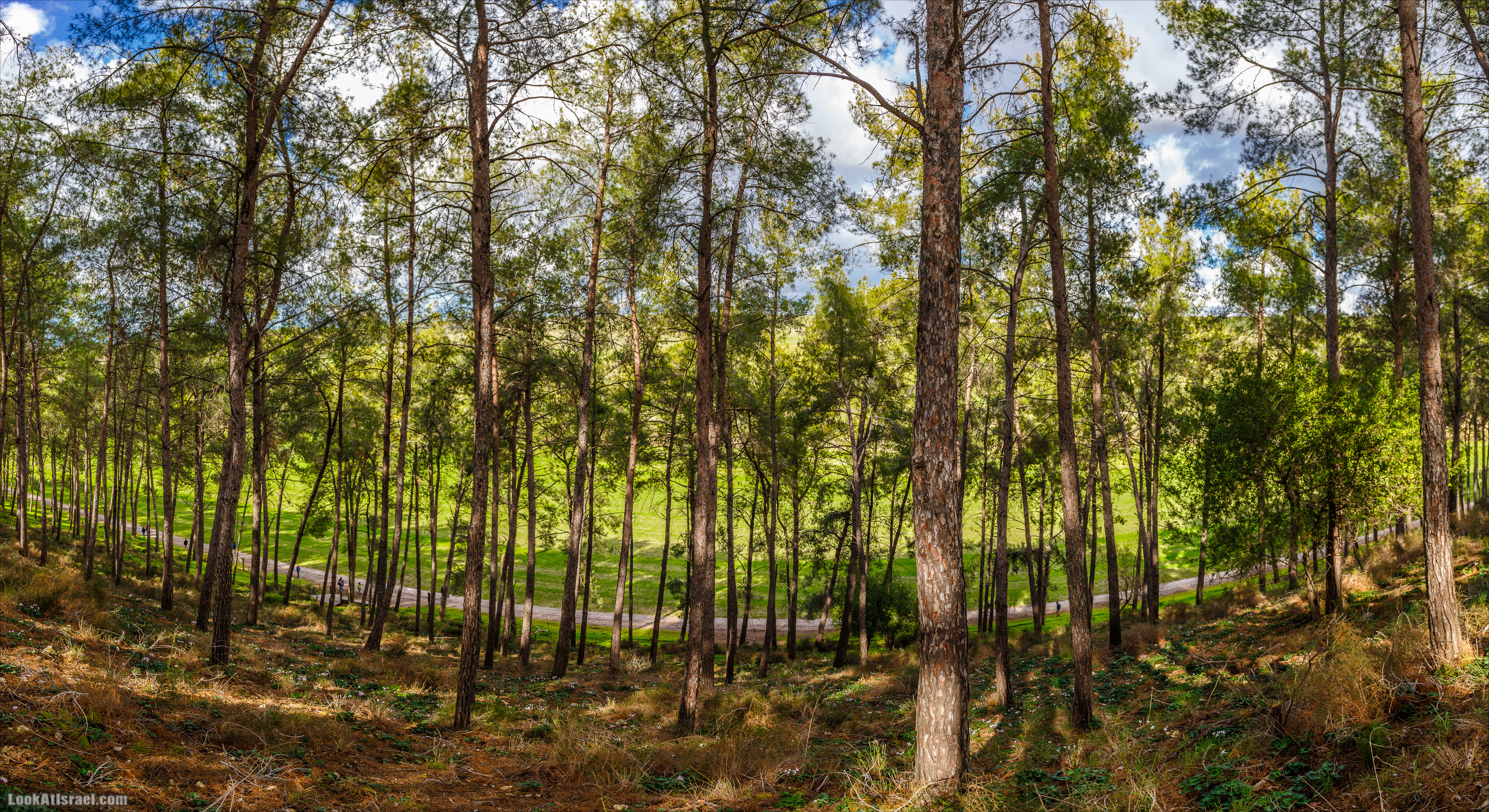 Панорамные фотографии Израиля | LookAtIsrael.com - Фото путешествия по Израилю