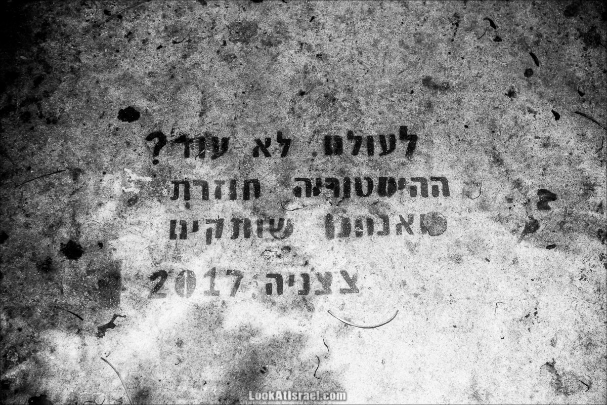 LookAtIsrael.com - Граффити Тель Авива | Tel Aviv street art