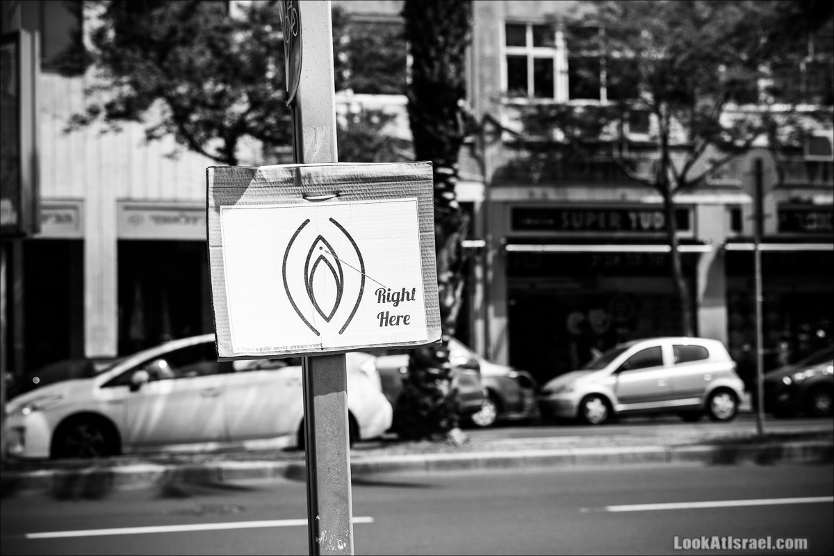 Граффити Тель-Авива | LookAtIsrael.com - Фото путешествия по Израилю