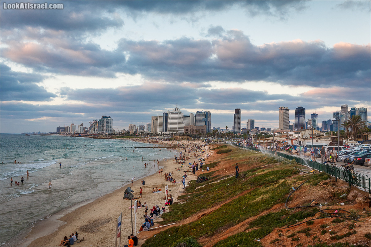 Крошки Тель-Авива - случайные фотографии из жизни Тель-Авива | LookAtIsrael.com - Фото путешествия по Израилю
