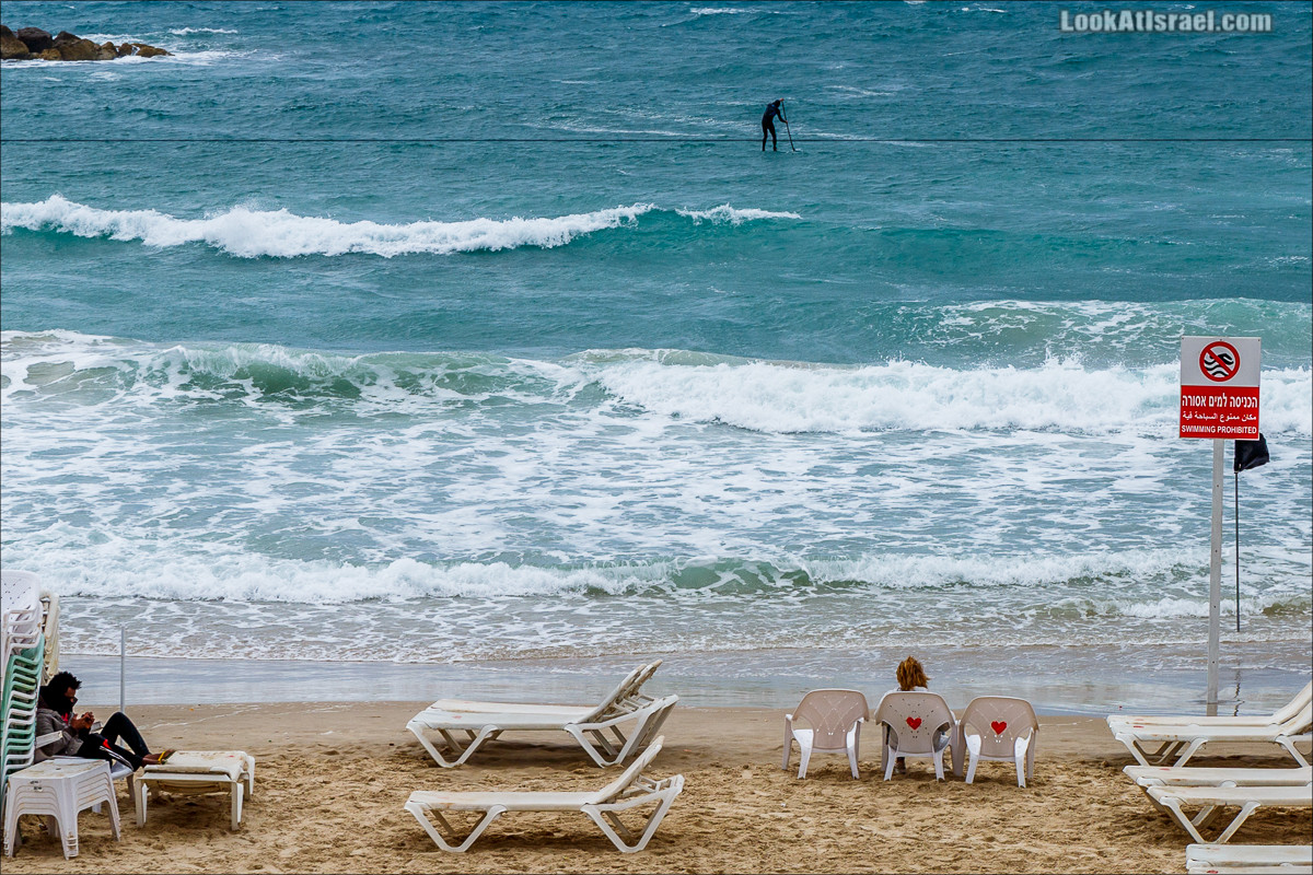 Крошки Тель-Авива - случайные фотографии из жизни Тель-Авива | LookAtIsrael.com - Фото путешествия по Израилю