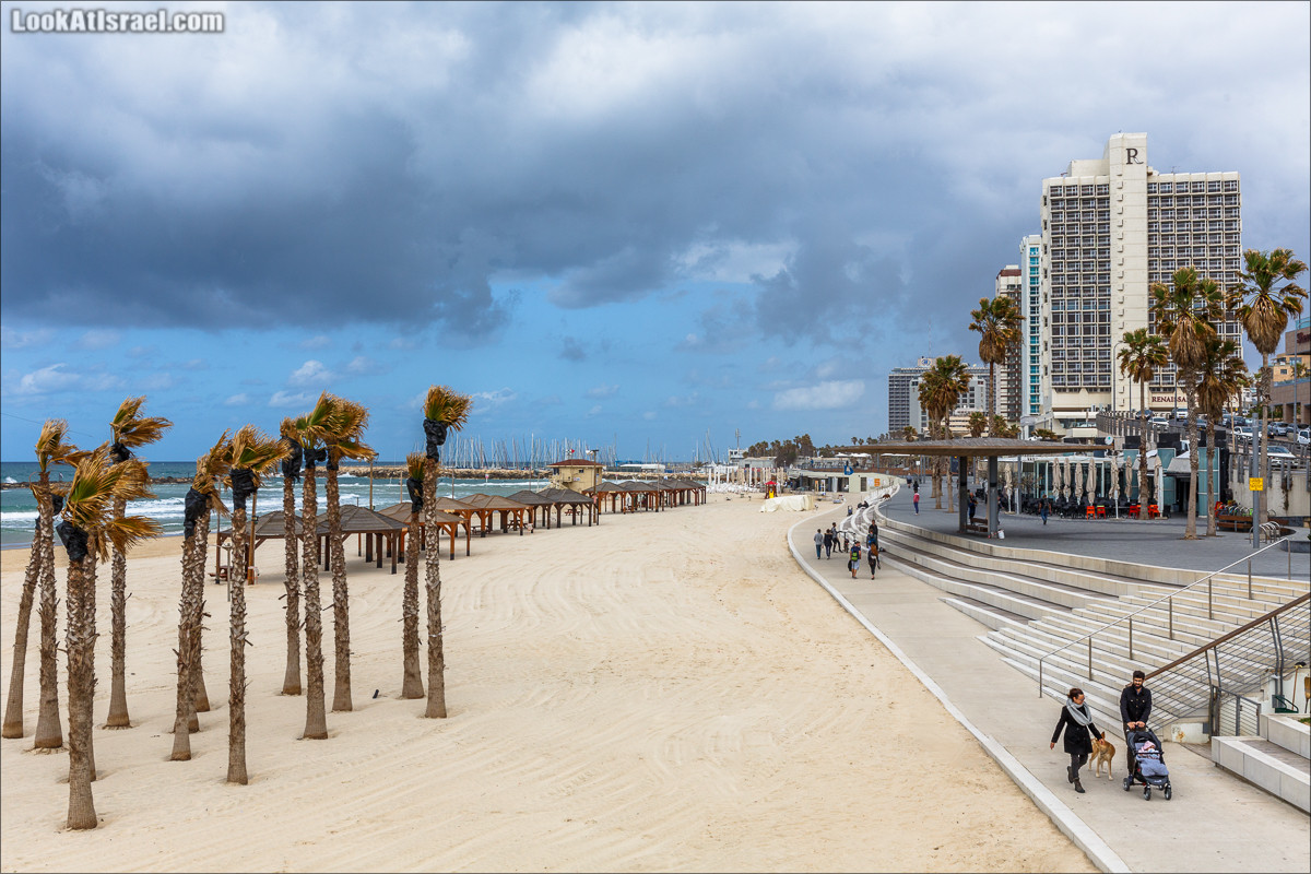 Крошки Тель-Авива - случайные фотографии из жизни Тель-Авива | LookAtIsrael.com - Фото путешествия по Израилю