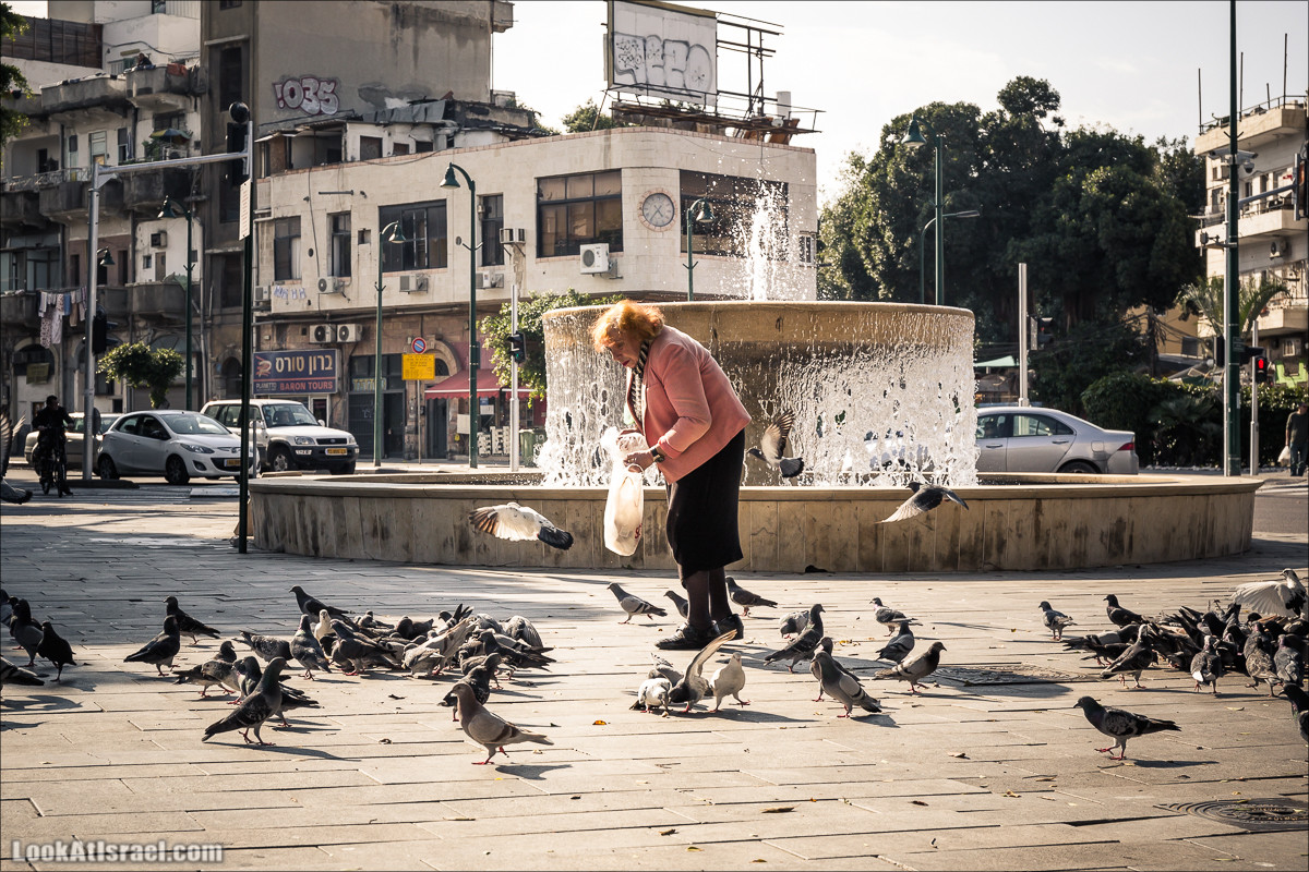 Крошки Тель-Авива - случайные фотографии из жизни Тель-Авива | LookAtIsrael.com - Фото путешествия по Израилю