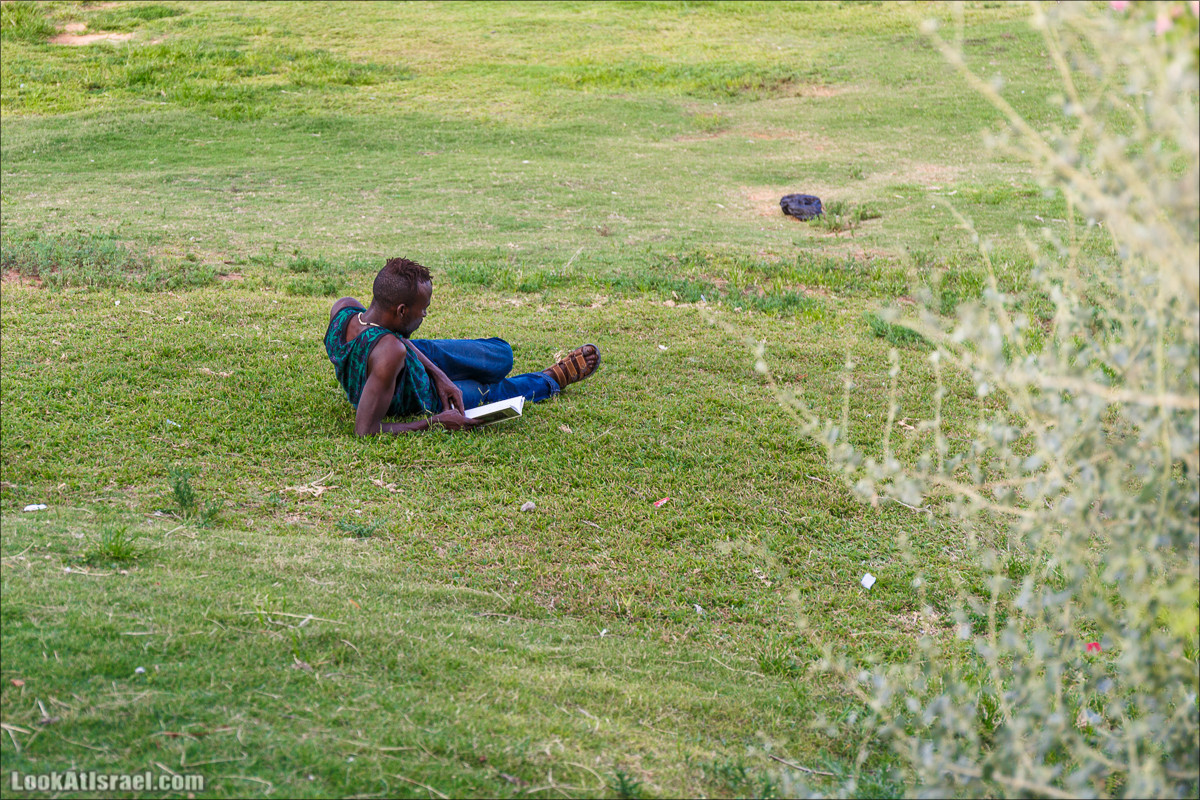 Крошки Тель-Авива - случайные фотографии из жизни Тель-Авива | LookAtIsrael.com - Фото путешествия по Израилю