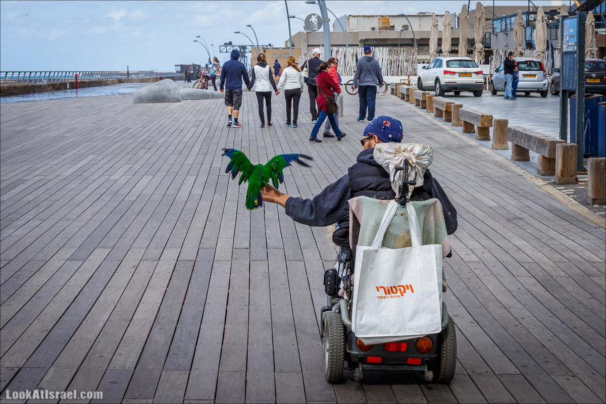 Крошки Тель-Авива - случайные фотографии из жизни Тель-Авива | LookAtIsrael.com - Фото путешествия по Израилю