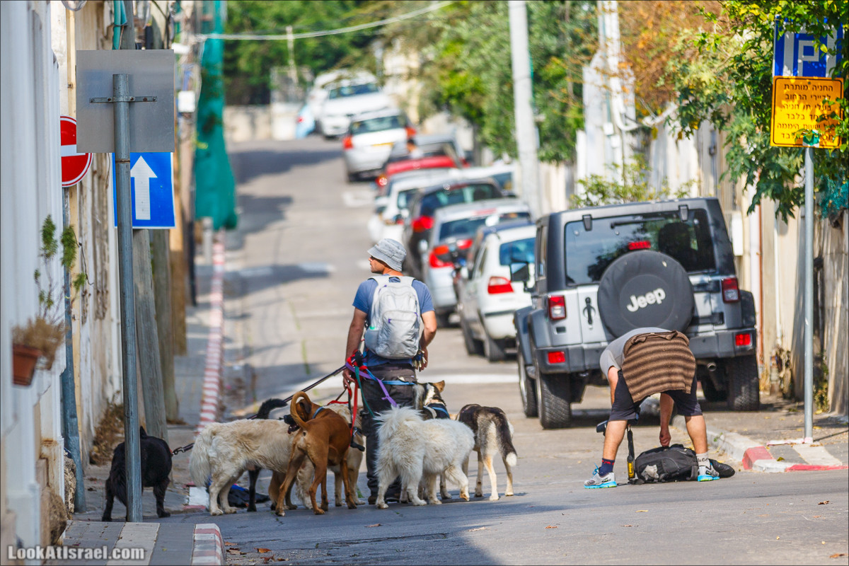 Крошки Тель-Авива - случайные фотографии из жизни Тель-Авива | LookAtIsrael.com - Фото путешествия по Израилю