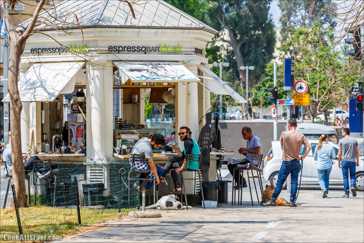 Крошки Тель-Авива - случайные фотографии из жизни Тель-Авива | LookAtIsrael.com - Фото путешествия по Израилю
