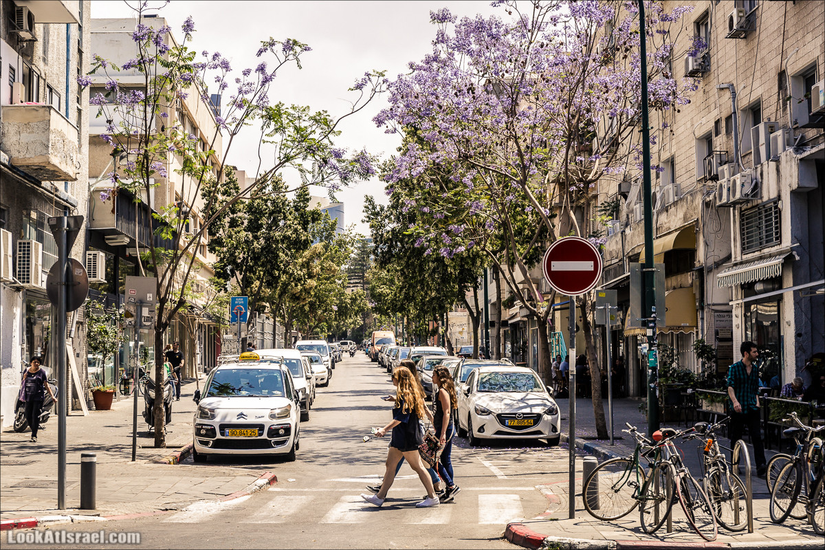 Крошки Тель-Авива - случайные фотографии из жизни Тель-Авива | LookAtIsrael.com - Фото путешествия по Израилю