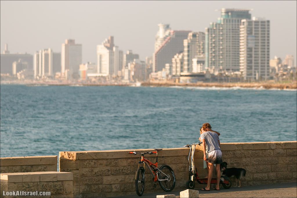 Крошки Тель-Авива - случайные фотографии из жизни Тель-Авива | LookAtIsrael.com - Фото путешествия по Израилю