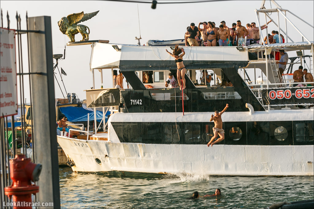 Крошки Тель-Авива - случайные фотографии из жизни Тель-Авива | LookAtIsrael.com - Фото путешествия по Израилю