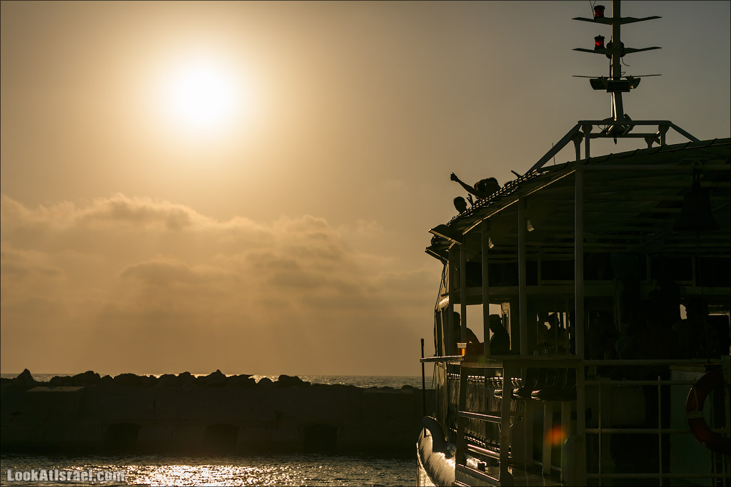 Крошки Тель-Авива - случайные фотографии из жизни Тель-Авива | LookAtIsrael.com - Фото путешествия по Израилю