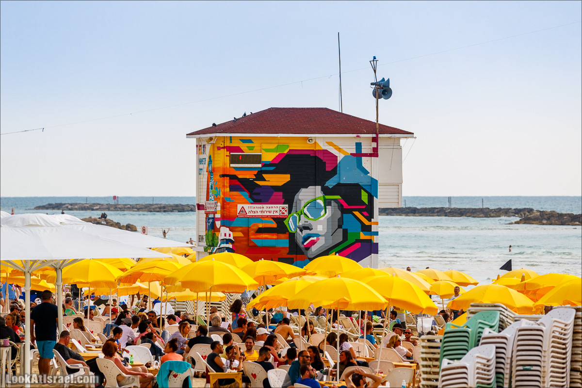 Крошки Тель-Авива - случайные фотографии из жизни Тель-Авива | LookAtIsrael.com - Фото путешествия по Израилю