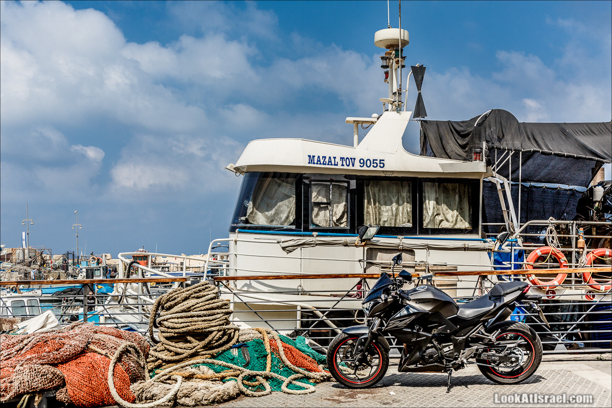 Крошки Тель-Авива - случайные фотографии из жизни Тель-Авива | LookAtIsrael.com - Фото путешествия по Израилю