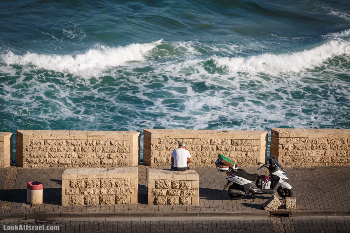 Крошки Тель-Авива - случайные фотографии из жизни Тель-Авива | LookAtIsrael.com - Фото путешествия по Израилю