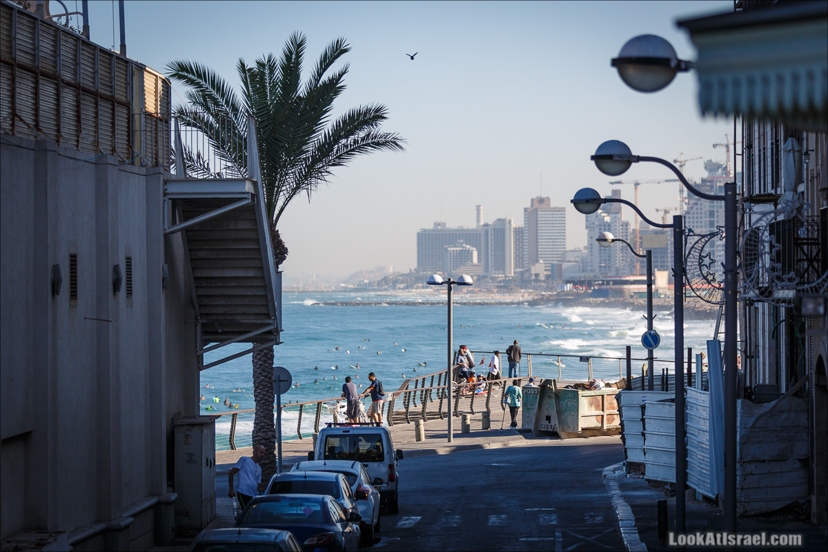 Крошки Тель-Авива - случайные фотографии из жизни Тель-Авива | LookAtIsrael.com - Фото путешествия по Израилю