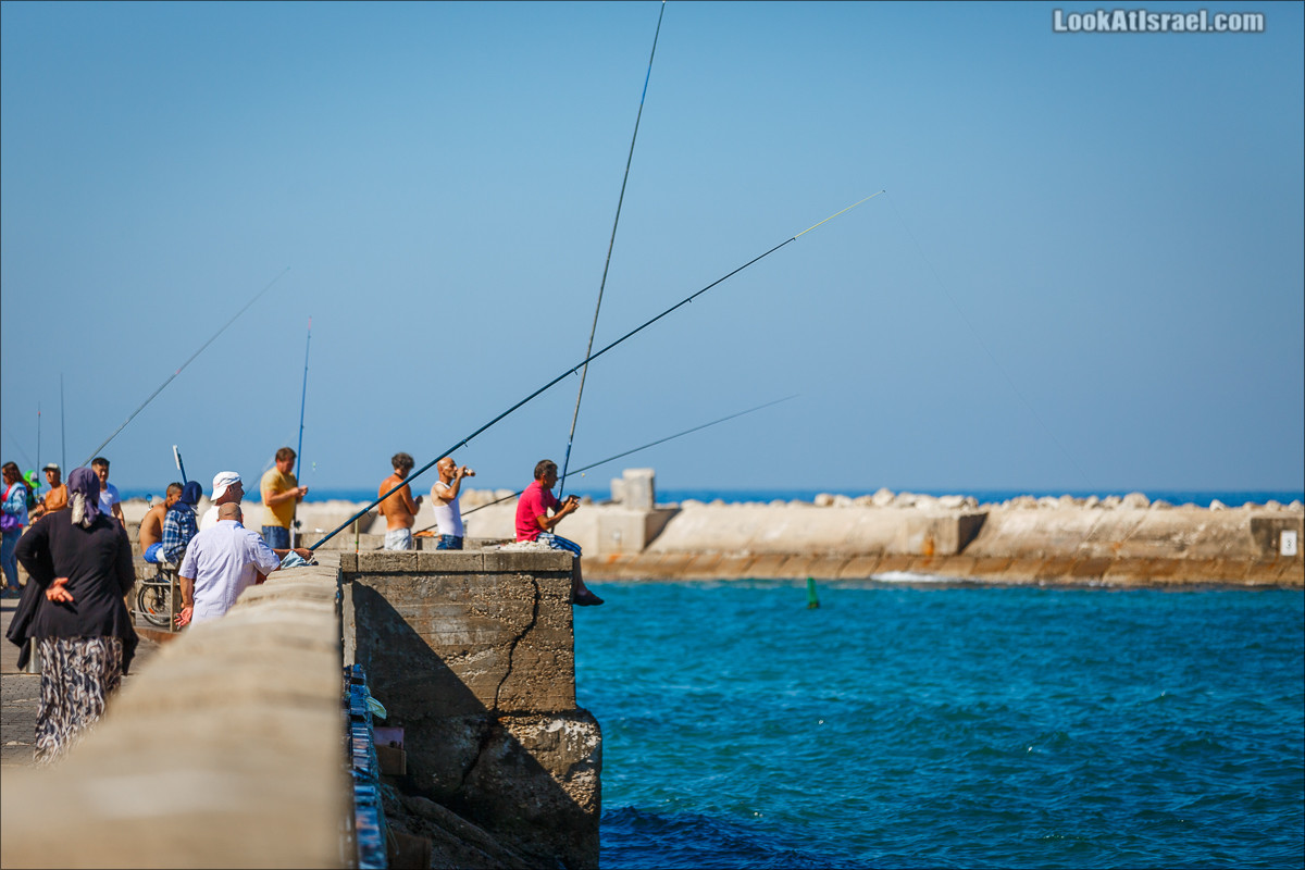 Крошки Тель-Авива - случайные фотографии из жизни Тель-Авива | LookAtIsrael.com - Фото путешествия по Израилю