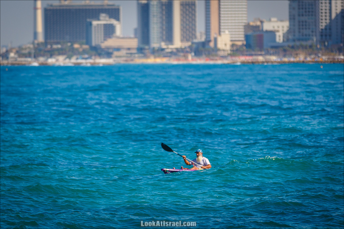 Крошки Тель-Авива - случайные фотографии из жизни Тель-Авива | LookAtIsrael.com - Фото путешествия по Израилю