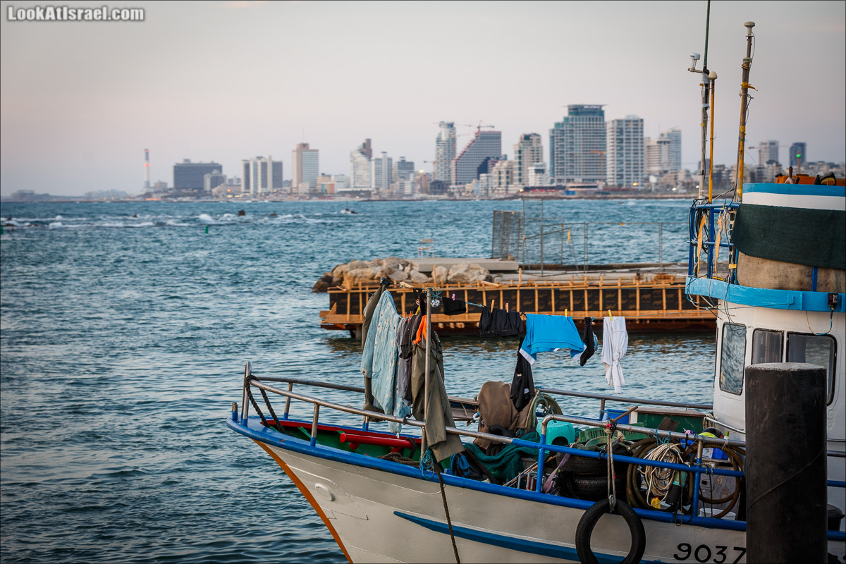 Крошки Тель-Авива - случайные фотографии из жизни Тель-Авива | LookAtIsrael.com - Фото путешествия по Израилю