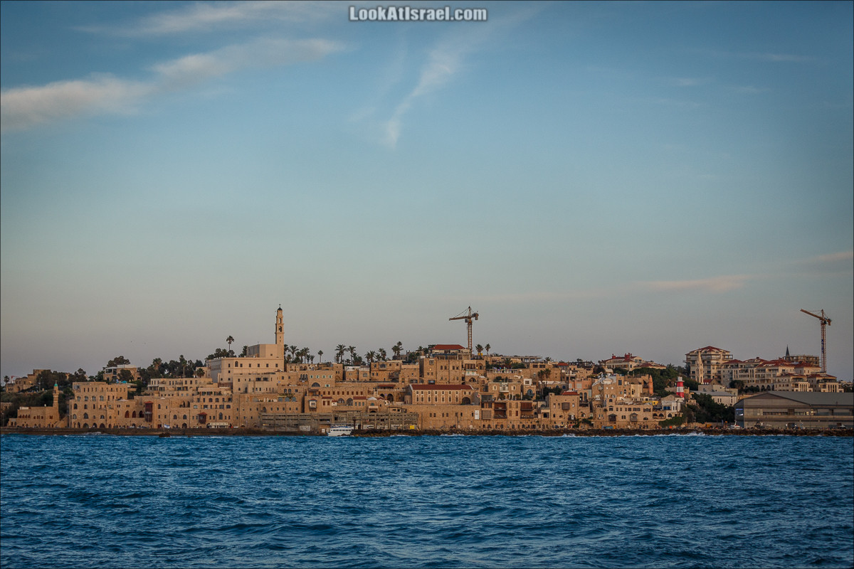 Крошки Тель-Авива - случайные фотографии из жизни Тель-Авива | LookAtIsrael.com - Фото путешествия по Израилю