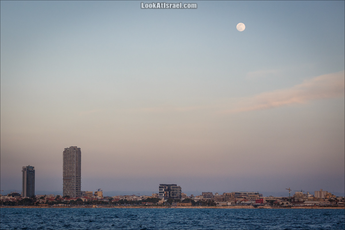 Крошки Тель-Авива - случайные фотографии из жизни Тель-Авива | LookAtIsrael.com - Фото путешествия по Израилю