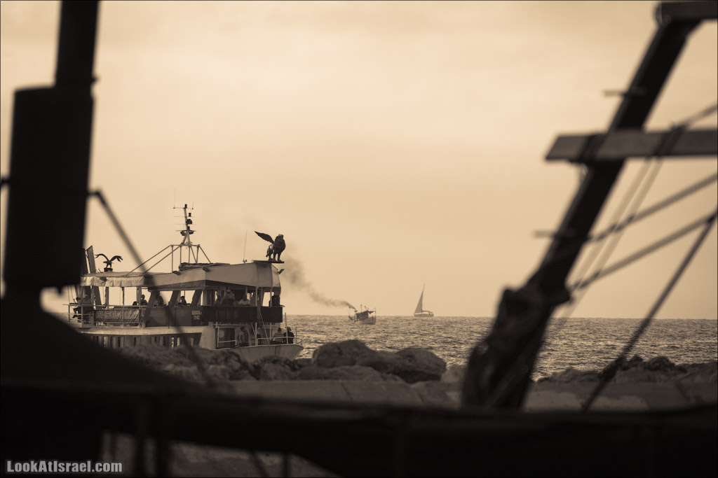 Крошки Тель-Авива - случайные фотографии из жизни Тель-Авива Яффо | LookAtIsrael.com - Фото путешествия по Израилю