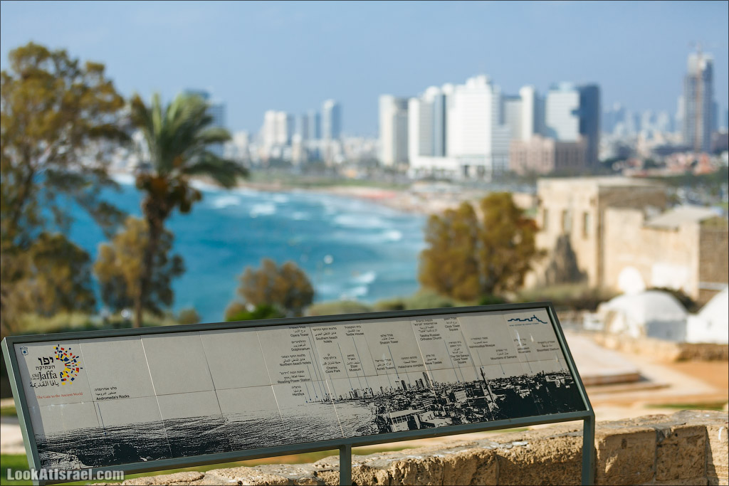 Крошки Тель-Авива - случайные фотографии из жизни Тель-Авива Яффо | LookAtIsrael.com - Фото путешествия по Израилю