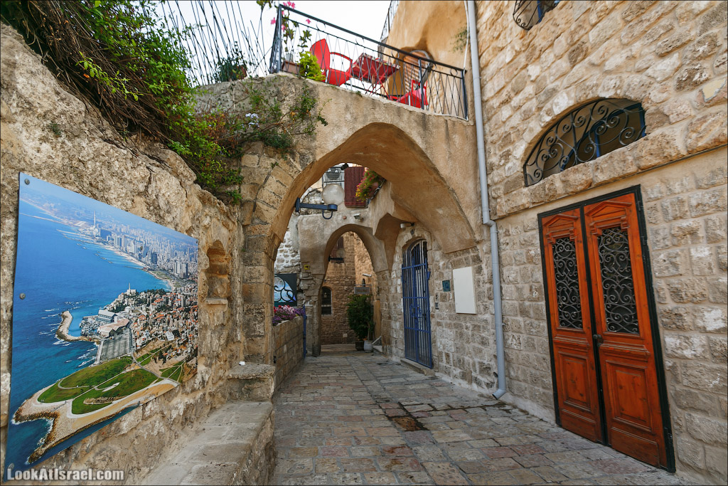 Крошки Тель-Авива - случайные фотографии из жизни Тель-Авива Яффо | LookAtIsrael.com - Фото путешествия по Израилю