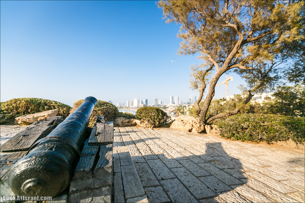 Крошки Тель-Авива - случайные фотографии из жизни Тель-Авива Яффо | LookAtIsrael.com - Фото путешествия по Израилю