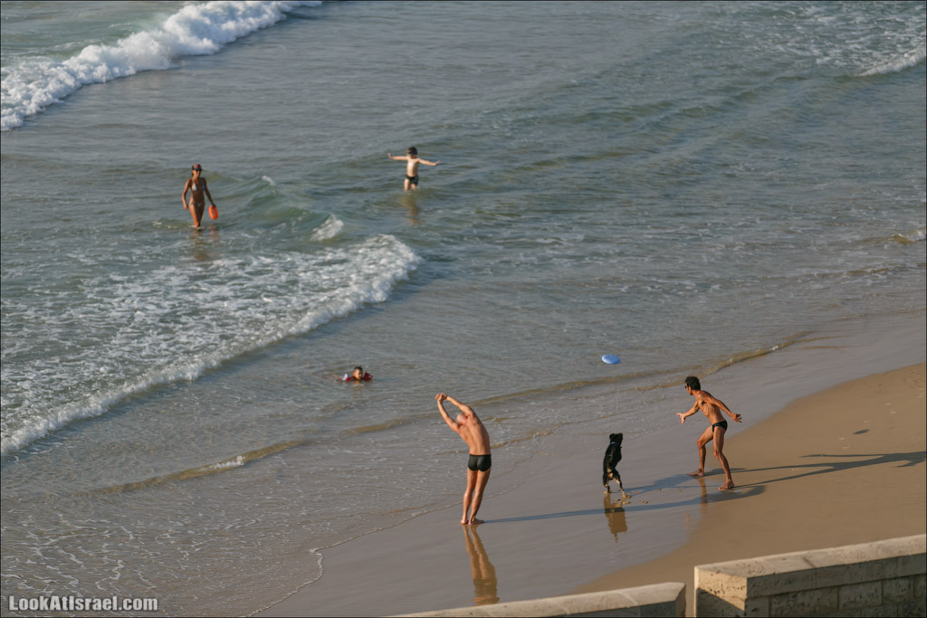 Крошки Тель-Авива - случайные фотографии из жизни Тель-Авива Яффо | LookAtIsrael.com - Фото путешествия по Израилю
