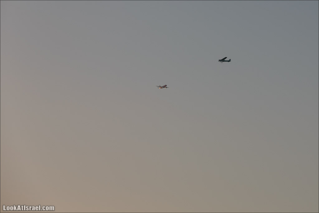 Крошки Тель-Авива - случайные фотографии из жизни Тель-Авива Яффо | LookAtIsrael.com - Фото путешествия по Израилю