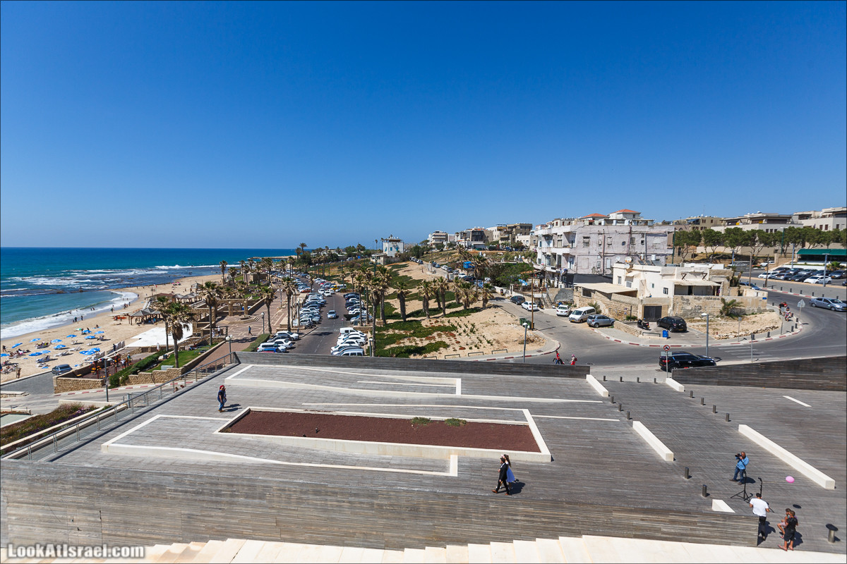 Крошки Тель-Авива - случайные фотографии из жизни Тель-Авива Яффо | LookAtIsrael.com - Фото путешествия по Израилю