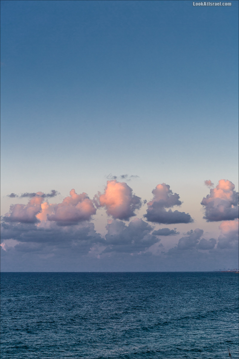 Крошки Тель-Авива - случайные фотографии из жизни Тель-Авива Яффо | LookAtIsrael.com - Фото путешествия по Израилю