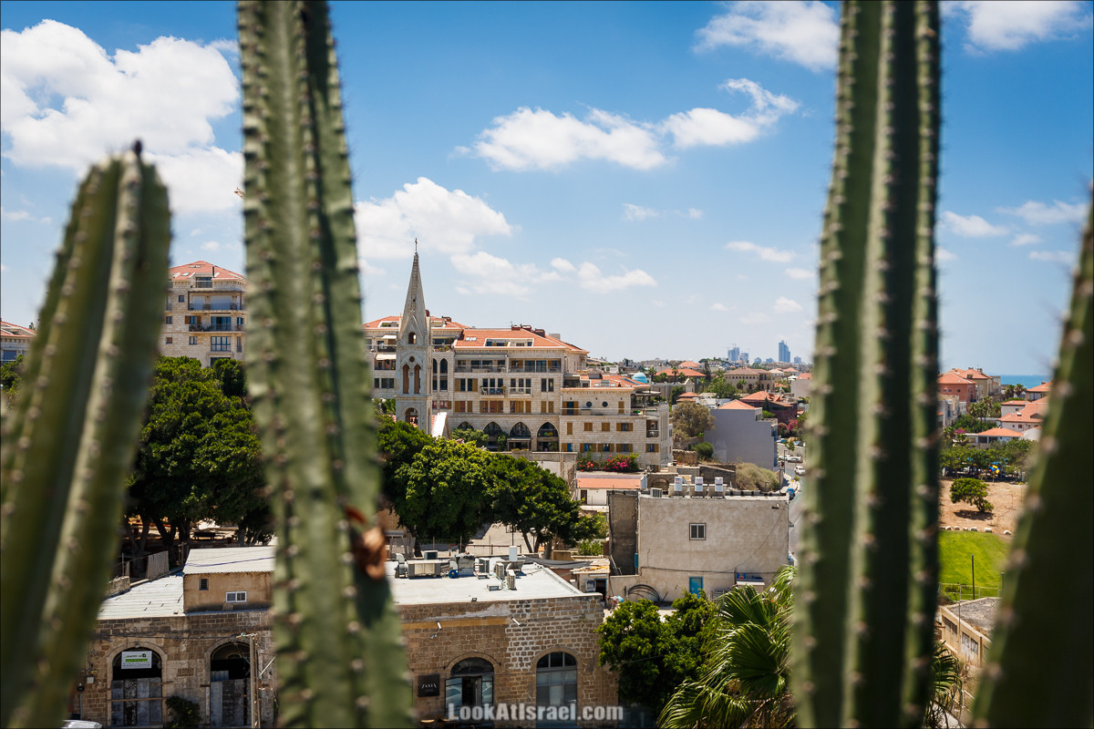 Крошки Тель-Авива - случайные фотографии из жизни Тель-Авива Яффо | LookAtIsrael.com - Фото путешествия по Израилю