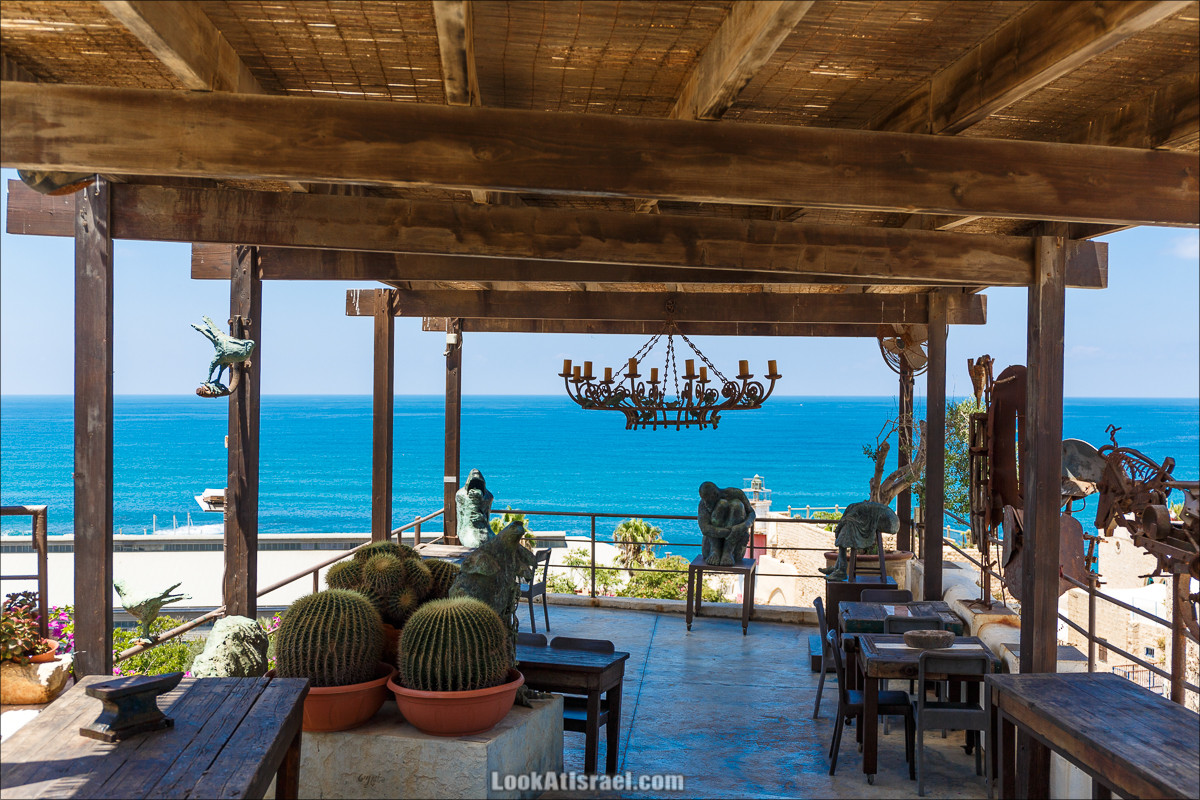 Крошки Тель-Авива - случайные фотографии из жизни Тель-Авива Яффо | LookAtIsrael.com - Фото путешествия по Израилю