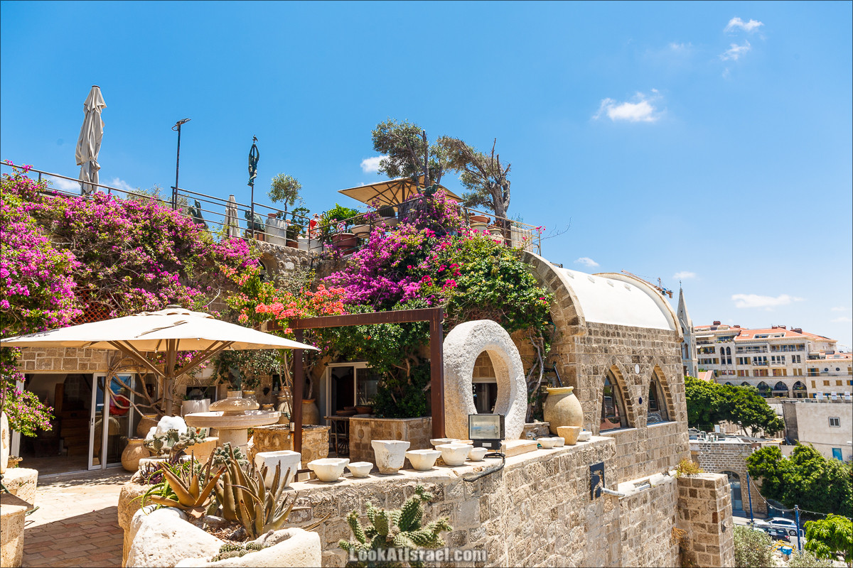 Крошки Тель-Авива - случайные фотографии из жизни Тель-Авива Яффо | LookAtIsrael.com - Фото путешествия по Израилю