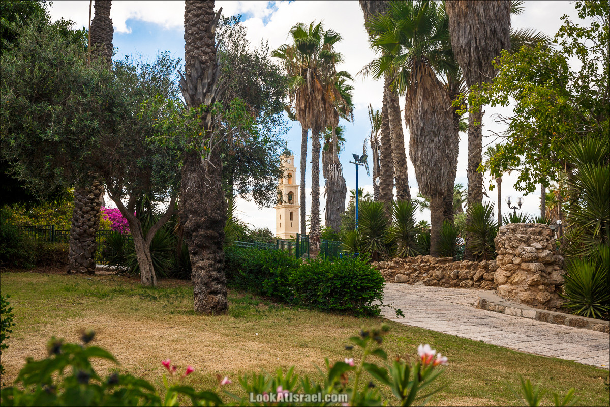 Крошки Тель-Авива - случайные фотографии из жизни Тель-Авива Яффо | LookAtIsrael.com - Фото путешествия по Израилю