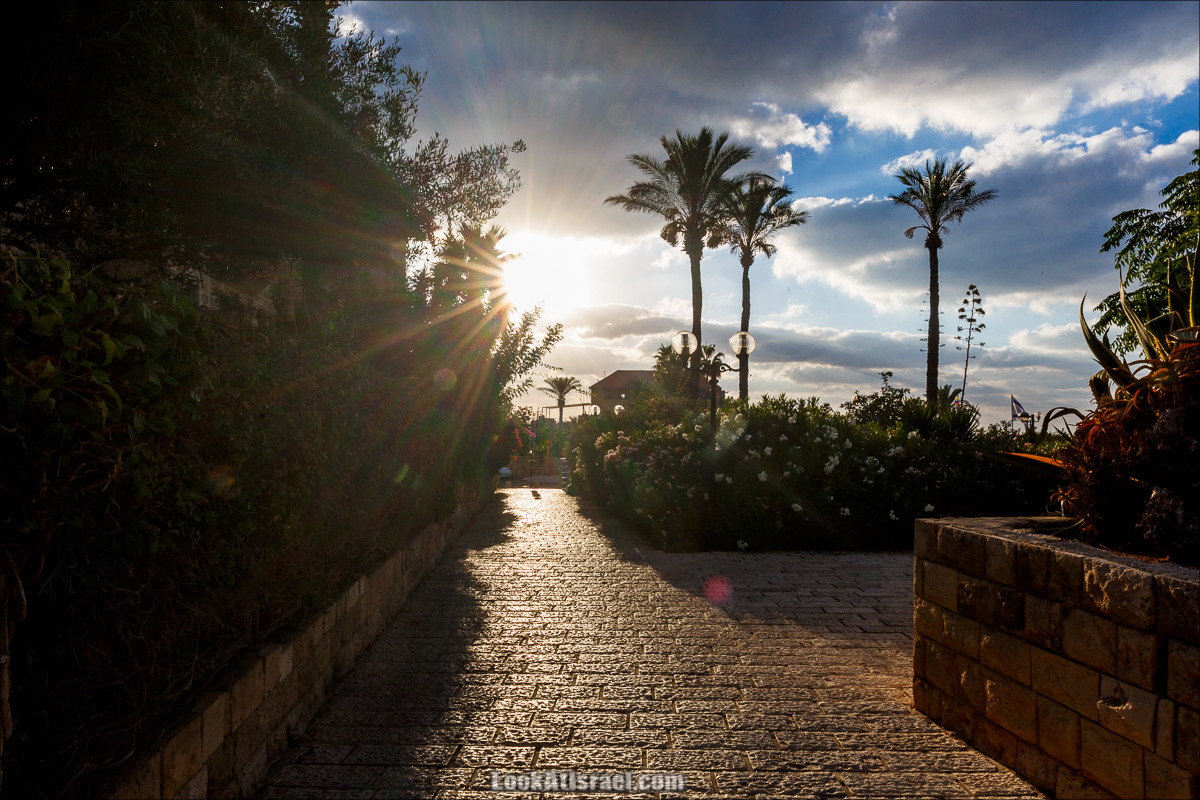 Крошки Тель-Авива - случайные фотографии из жизни Тель-Авива Яффо | LookAtIsrael.com - Фото путешествия по Израилю