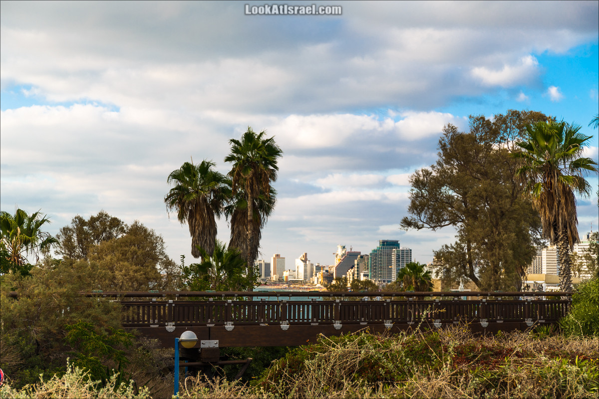 Крошки Тель-Авива - случайные фотографии из жизни Тель-Авива Яффо | LookAtIsrael.com - Фото путешествия по Израилю