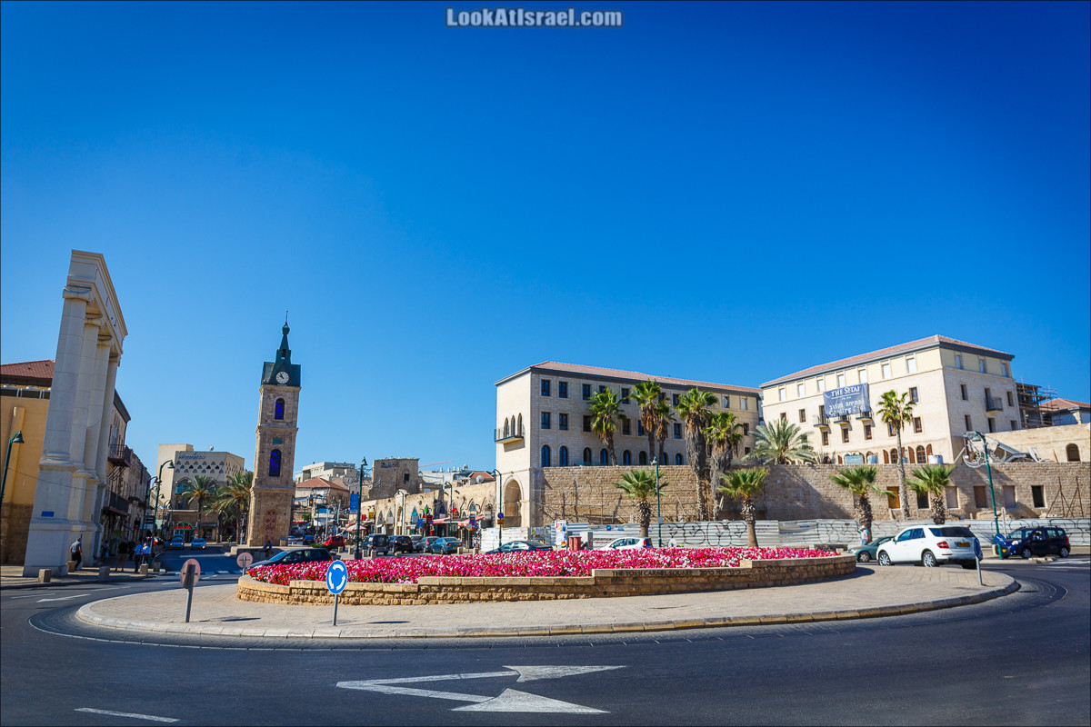 Крошки Тель-Авива - случайные фотографии из жизни Тель-Авива Яффо | LookAtIsrael.com - Фото путешествия по Израилю