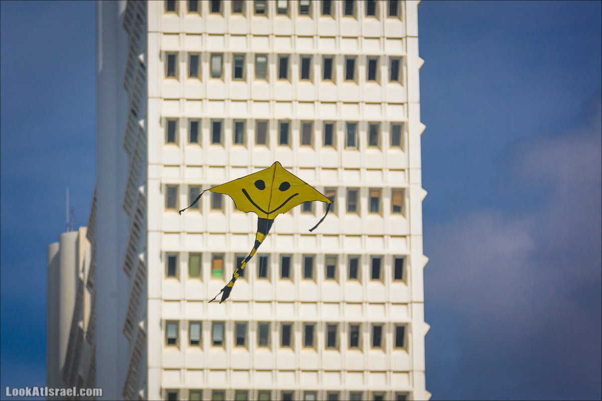 Крошки Тель-Авива - случайные фотографии из жизни Тель-Авива | LookAtIsrael.com - Фото путешествия по Израилю