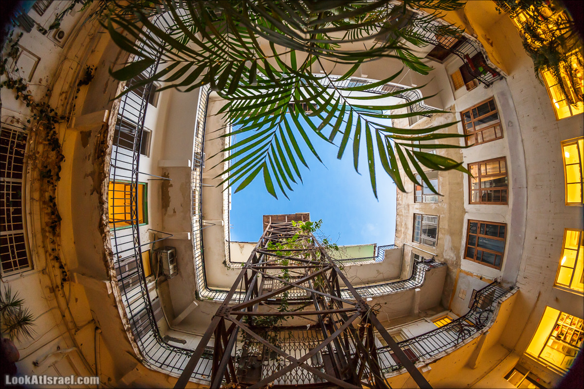 Крошки Тель-Авива - случайные фотографии из жизни Тель-Авива | LookAtIsrael.com - Фото путешествия по Израилю