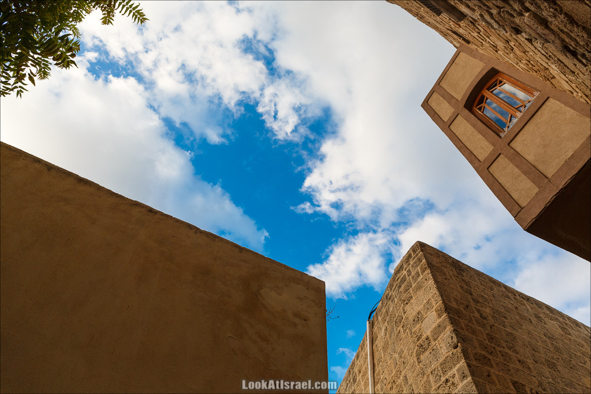 Крошки Тель-Авива - случайные фотографии из жизни Тель-Авива | LookAtIsrael.com - Фото путешествия по Израилю