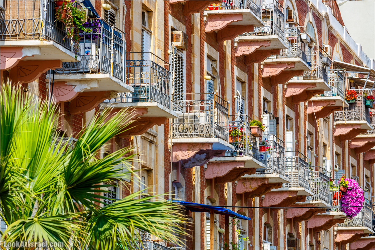 Крошки Тель-Авива - случайные фотографии из жизни Тель-Авива | LookAtIsrael.com - Фото путешествия по Израилю