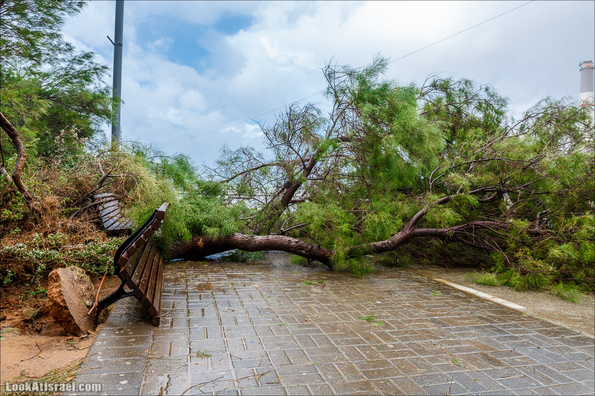 Штормовой и дождливый Тель-Авив | LookAtIsrael.com - Фото путешествия по Израилю