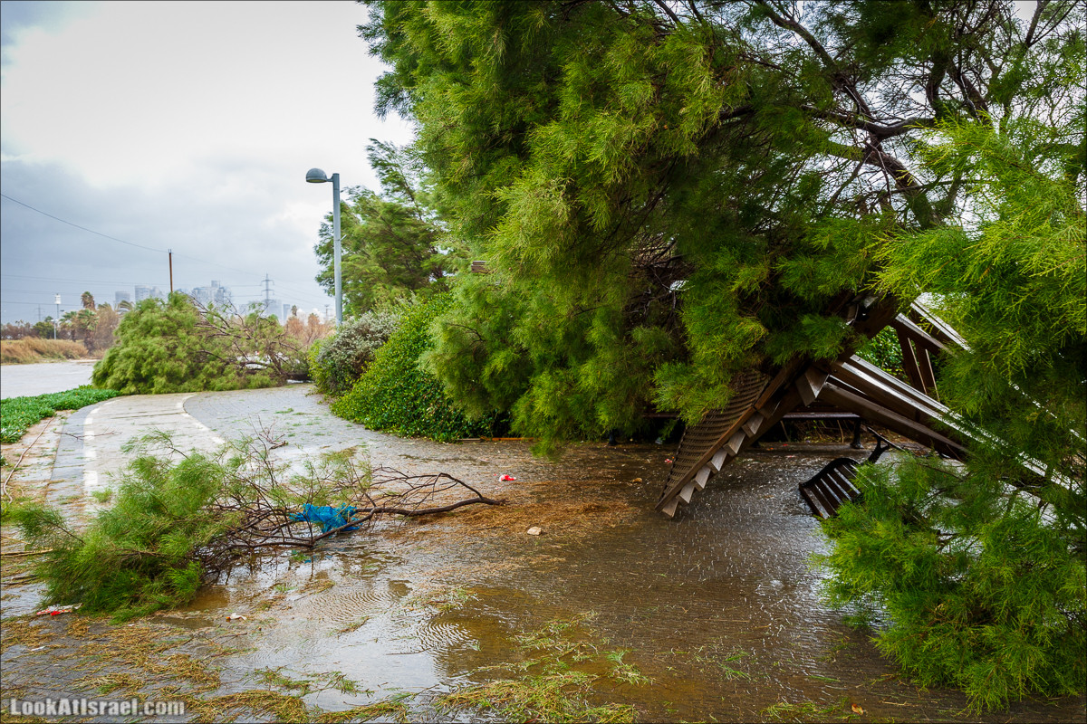 Штормовой и дождливый Тель-Авив | LookAtIsrael.com - Фото путешествия по Израилю