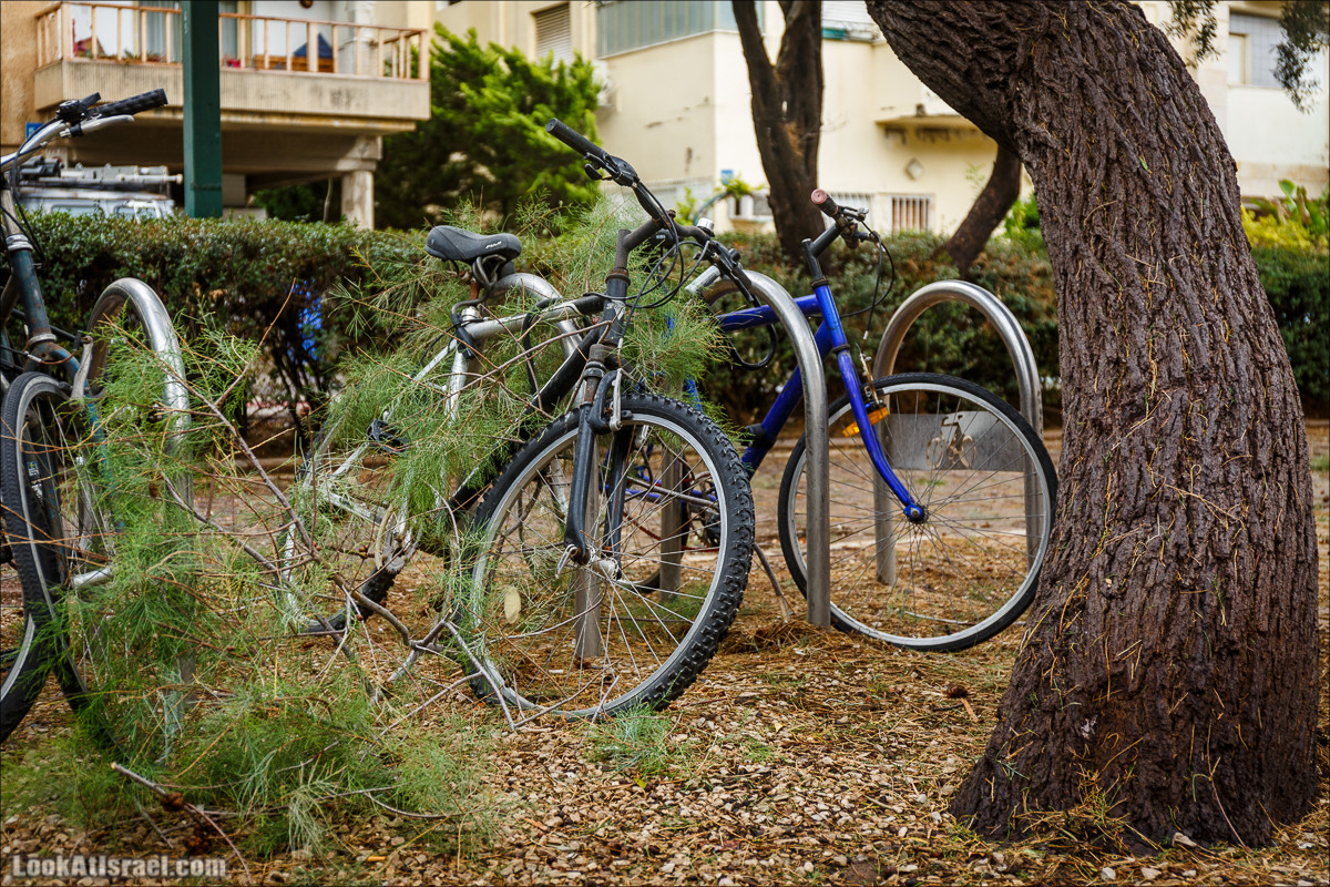 Штормовой и дождливый Тель-Авив | LookAtIsrael.com - Фото путешествия по Израилю