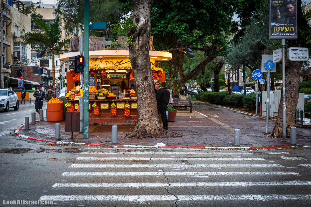 Штормовой и дождливый Тель-Авив | LookAtIsrael.com - Фото путешествия по Израилю