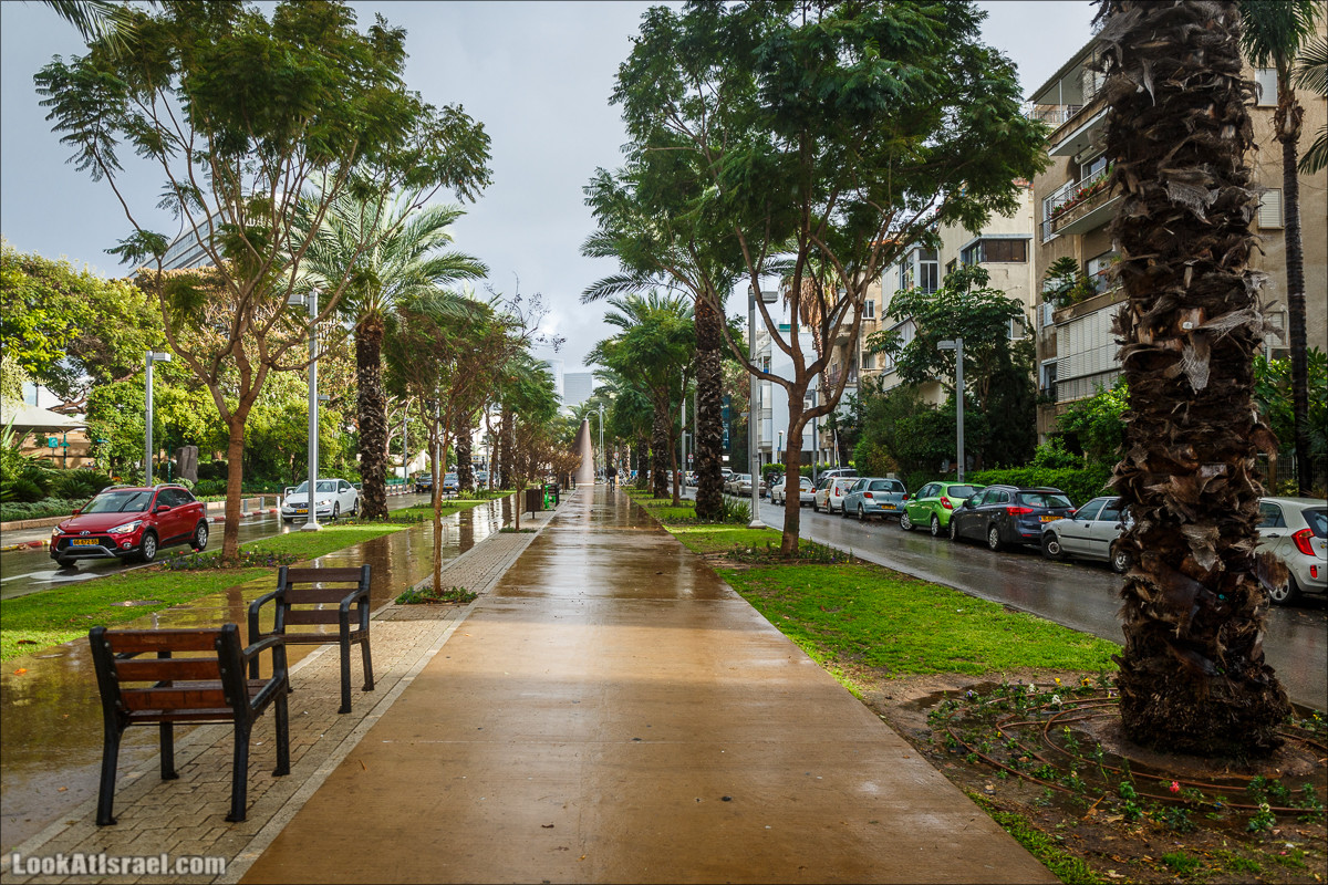 Штормовой и дождливый Тель-Авив | LookAtIsrael.com - Фото путешествия по Израилю