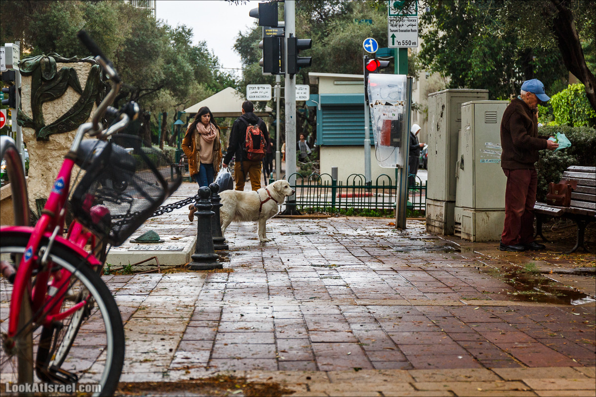 Штормовой и дождливый Тель-Авив | LookAtIsrael.com - Фото путешествия по Израилю